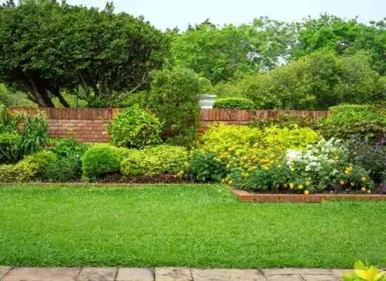 landscaping services Summerfield